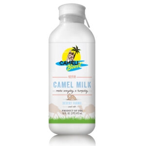 Camel milk kefir